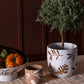Rustling Collection Set of 2 By Accent Decor | Decorative Bowls | Modishstore - 3