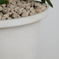 Sadler Urn By Accent Decor | Planters, Troughs & Cachepots | Modishstore - 1