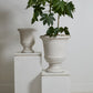 Sadler Urn By Accent Decor | Planters, Troughs & Cachepots | Modishstore - 5