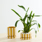 Saffron Pot Set of 4 By Accent Decor | Planters, Troughs & Cachepots | Modishstore - 4