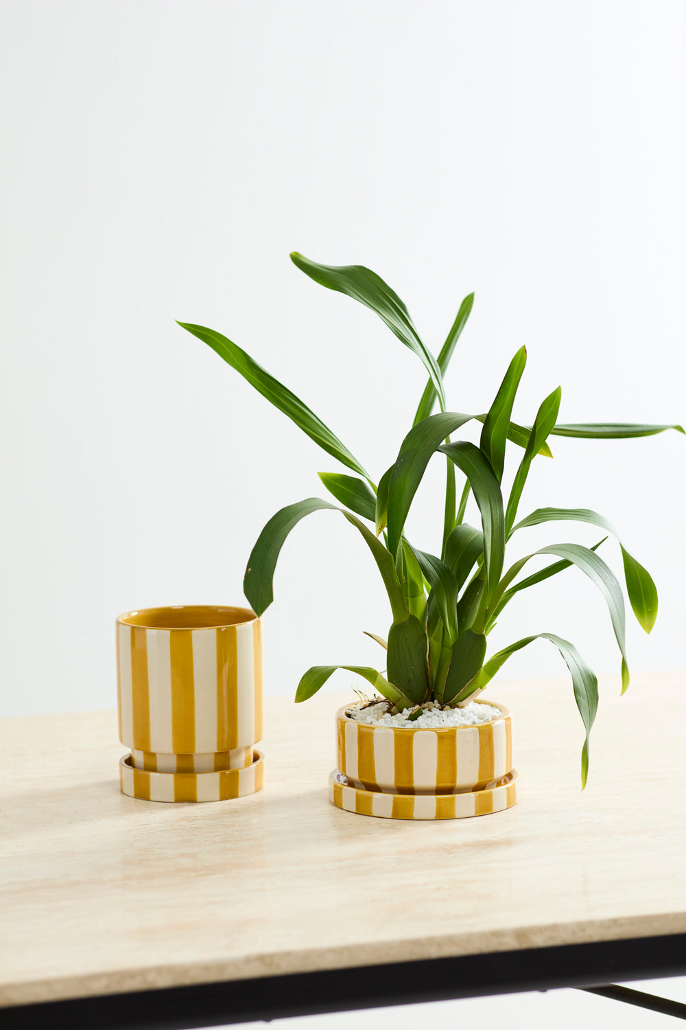 Saffron Pot Set of 4 By Accent Decor | Planters, Troughs & Cachepots | Modishstore - 4