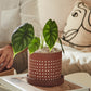 Salamanca Pot Set of 4 By Accent Decor | Planters, Troughs & Cachepots | Modishstore - 2