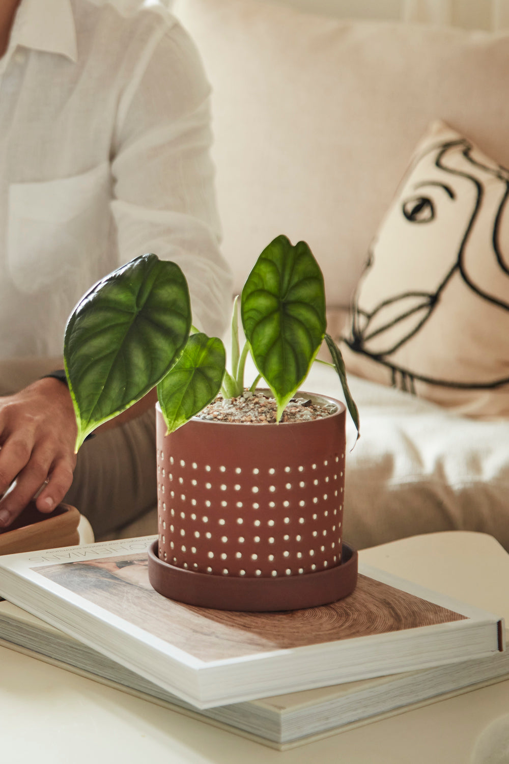 Salamanca Pot Set of 4 By Accent Decor | Planters, Troughs & Cachepots | Modishstore - 2