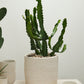 Salvage Pot By Accent Decor | Planters, Troughs & Cachepots | Modishstore - 3