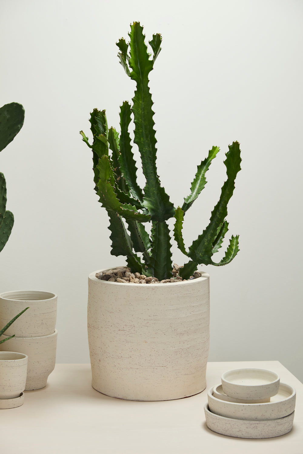 Salvage Pot By Accent Decor | Planters, Troughs & Cachepots | Modishstore - 3