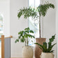 Santos Planter By Accent Decor | Planters, Troughs & Cachepots | Modishstore - 5