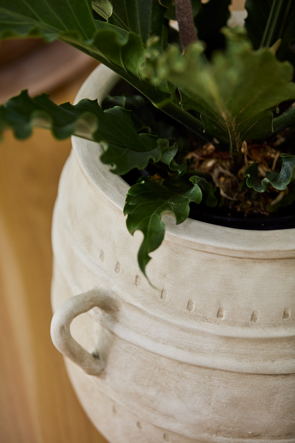 Santos Planter By Accent Decor | Planters, Troughs & Cachepots | Modishstore - 8