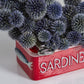 Sardine Tin Planter Set of 4 By Accent Decor | Planters, Troughs & Cachepots | Modishstore - 1