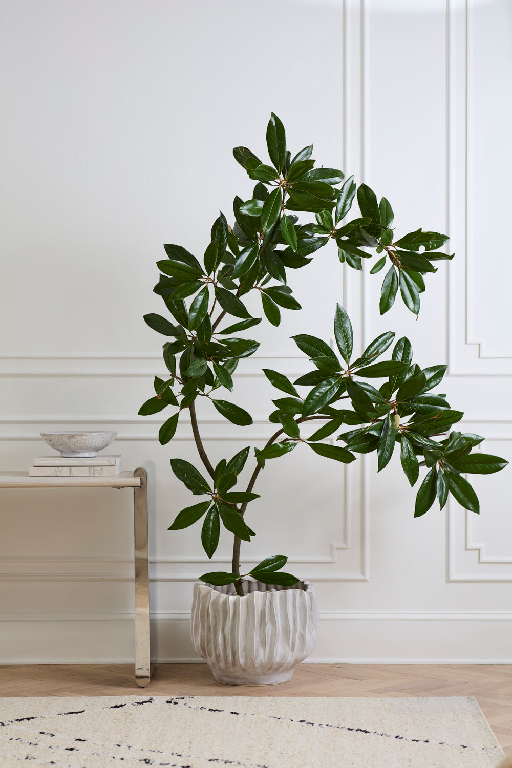 Scavo Pot By Accent Decor | Planters, Troughs & Cachepots | Modishstore - 3