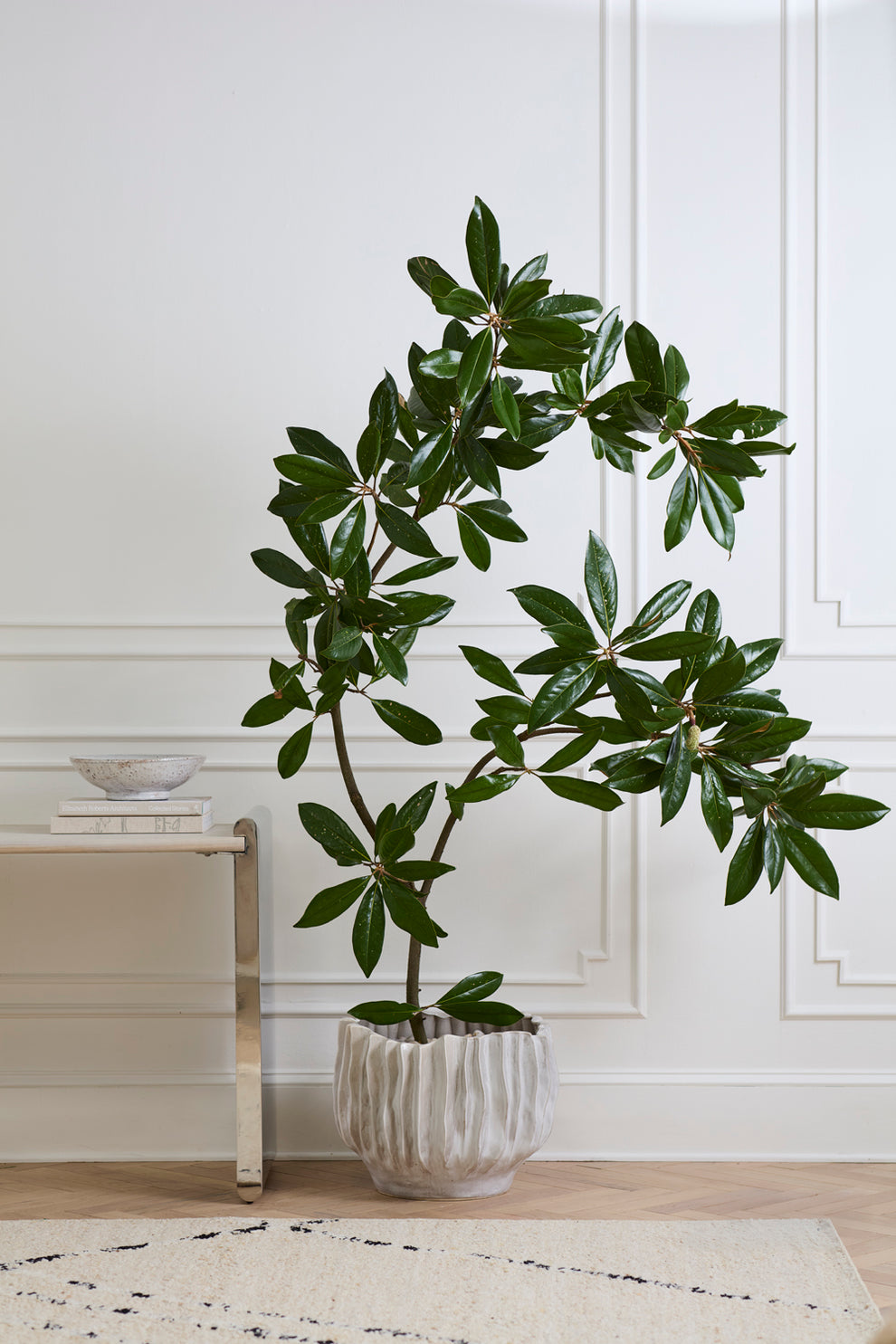 Scavo Pot By Accent Decor | Planters, Troughs & Cachepots | Modishstore - 3