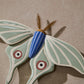Sculpted Moth Wall Art Set of 2 By Accent Decor | Wall Art | Modishstore - 2
