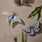 Sculpted Moth Wall Art Set of 2 By Accent Decor | Wall Art | Modishstore - 4