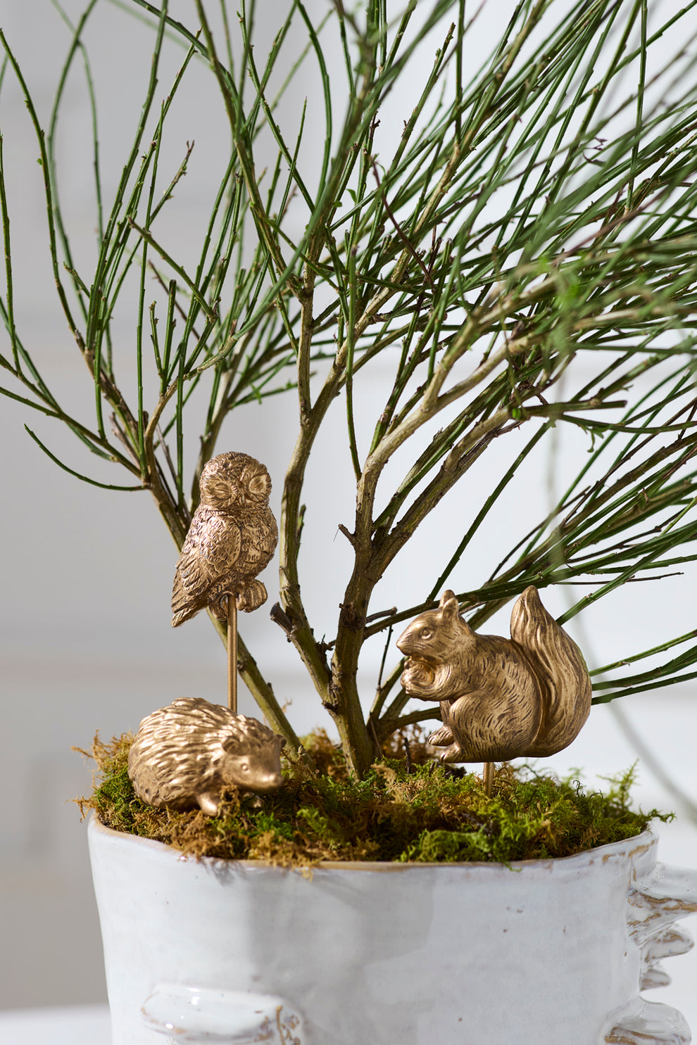 Scurry Plant Sticks Set of 6 By Accent Decor | Planters, Troughs & Cachepots | Modishstore - 3