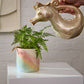 Seahorse Watering Can Set of 2 By Accent Decor | Stands | Modishstore - 1
