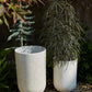 Seaport Planter By Accent Decor | Planters, Troughs & Cachepots | Modishstore - 3