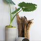 Seaport Planter By Accent Decor | Planters, Troughs & Cachepots | Modishstore - 4