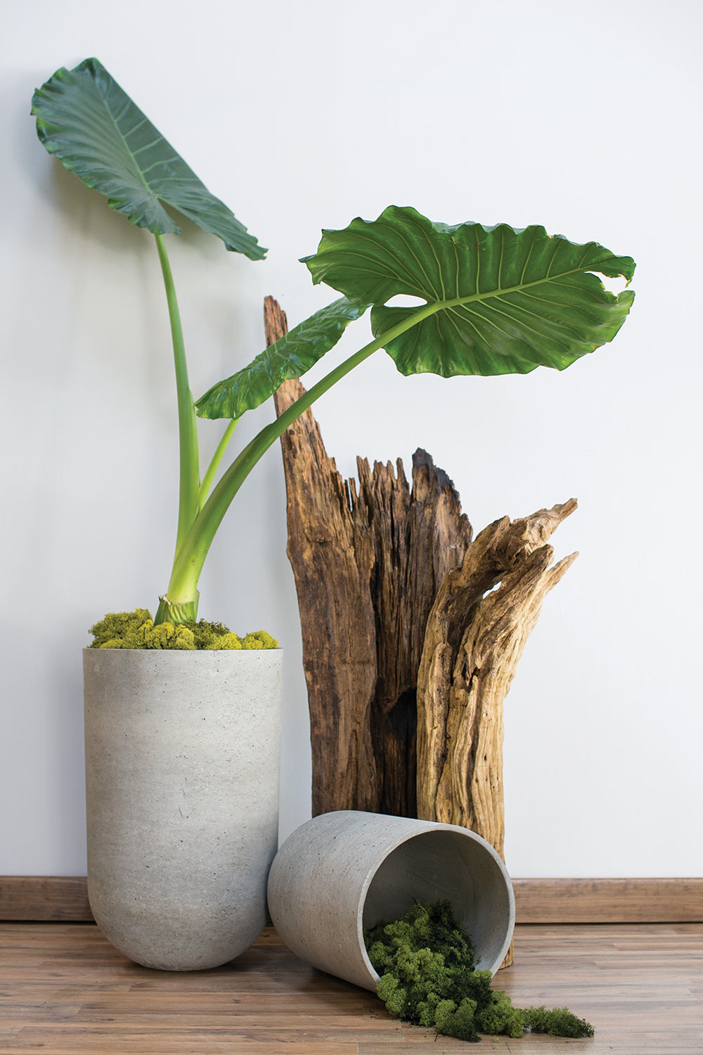 Seaport Planter By Accent Decor | Planters, Troughs & Cachepots | Modishstore - 4