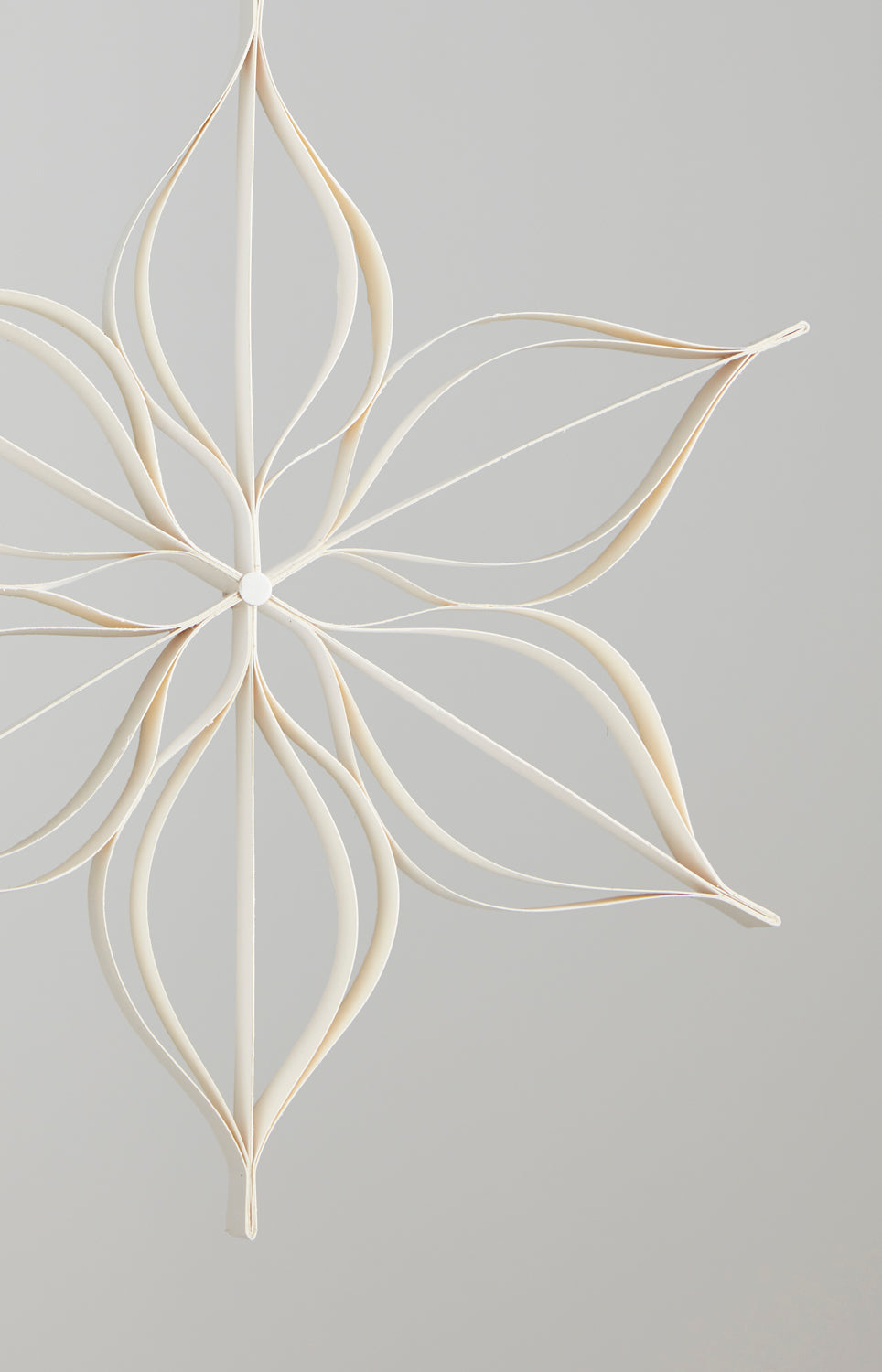 Shaula Ornament Set of 2 By Accent Decor | Ornaments | Modishstore - 1
