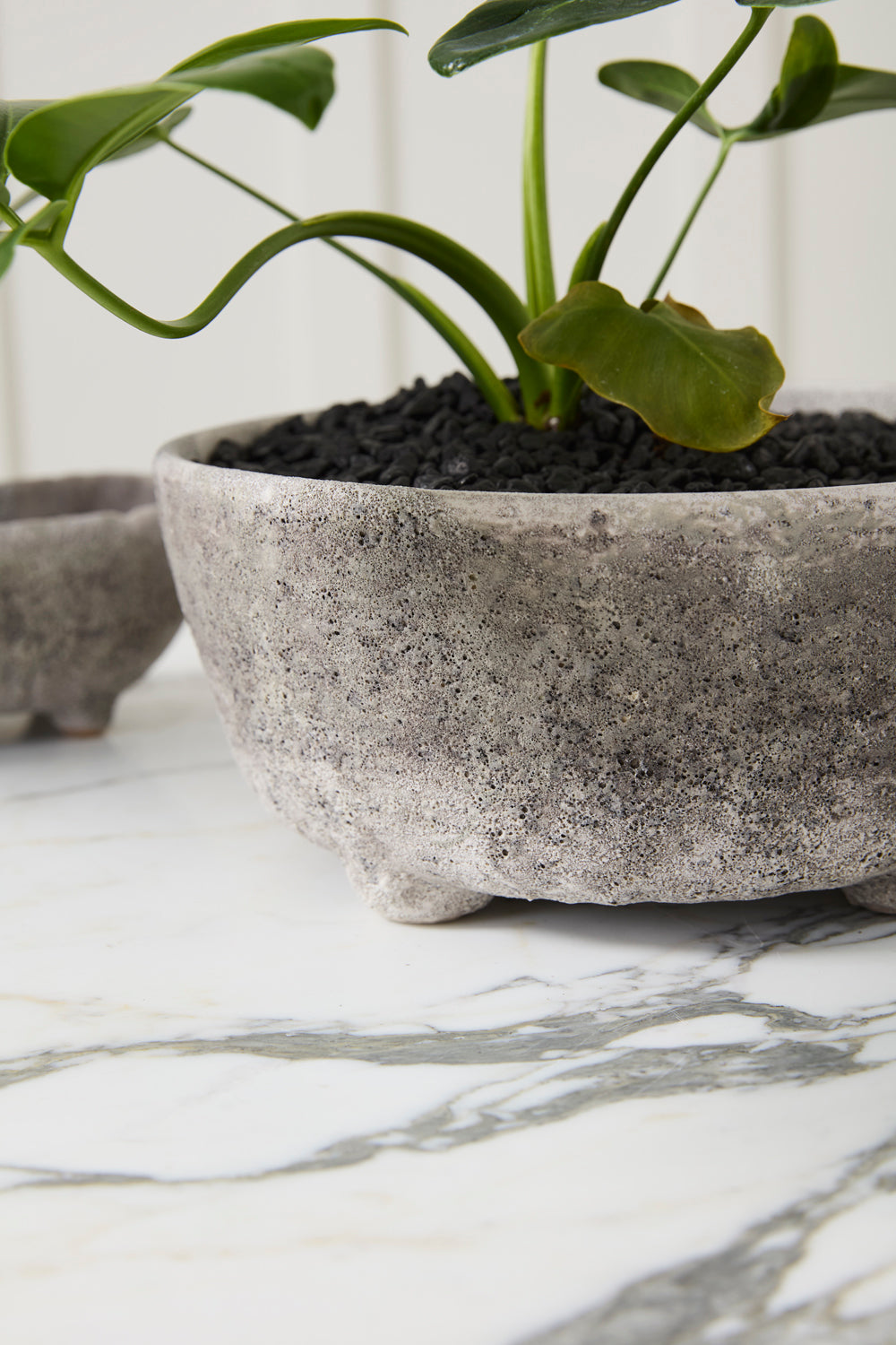 Shoal Bowl Set of 2 By Accent Decor | Decorative Bowls | Modishstore - 1