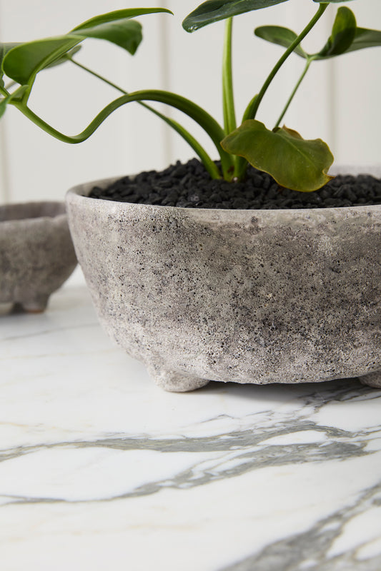 Shoal Bowl Set of 2 By Accent Decor | Decorative Bowls | Modishstore - 1
