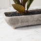 Shoal Trough Set of 2 By Accent Decor | Wall Decor | Modishstore - 1