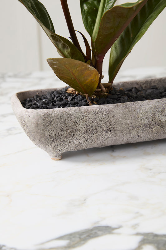 Shoal Trough Set of 2 By Accent Decor | Wall Decor | Modishstore - 1