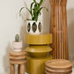 Showcase Accent Table By Accent Decor | Planters, Troughs & Cachepots | Modishstore - 4
