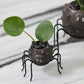 Silly Spider Pot Set of 8 By Accent Decor | Planters, Troughs & Cachepots | Modishstore - 1