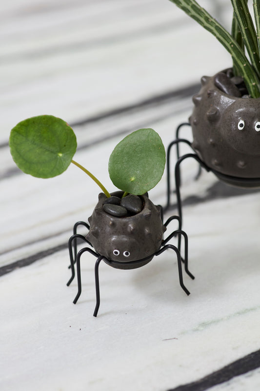 Silly Spider Pot Set of 8 By Accent Decor | Planters, Troughs & Cachepots | Modishstore - 1