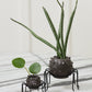 Silly Spider Pot Set of 8 By Accent Decor | Planters, Troughs & Cachepots | Modishstore - 3