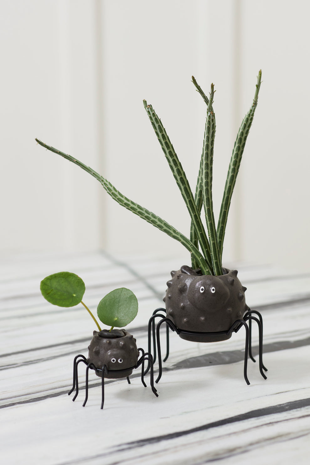 Silly Spider Pot Set of 8 By Accent Decor | Planters, Troughs & Cachepots | Modishstore - 3