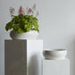 Simply Collection Set of 8 By Accent Decor | Vases | Modishstore - 1