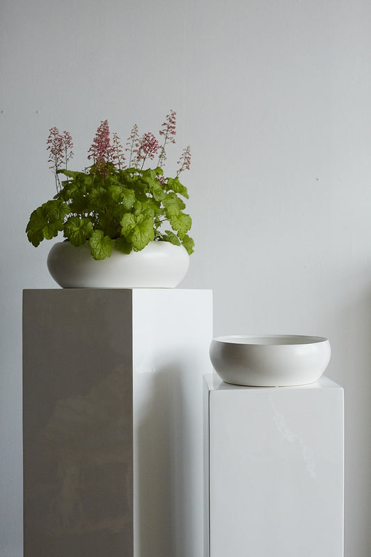 Simply Collection Set of 8 By Accent Decor | Vases | Modishstore - 1