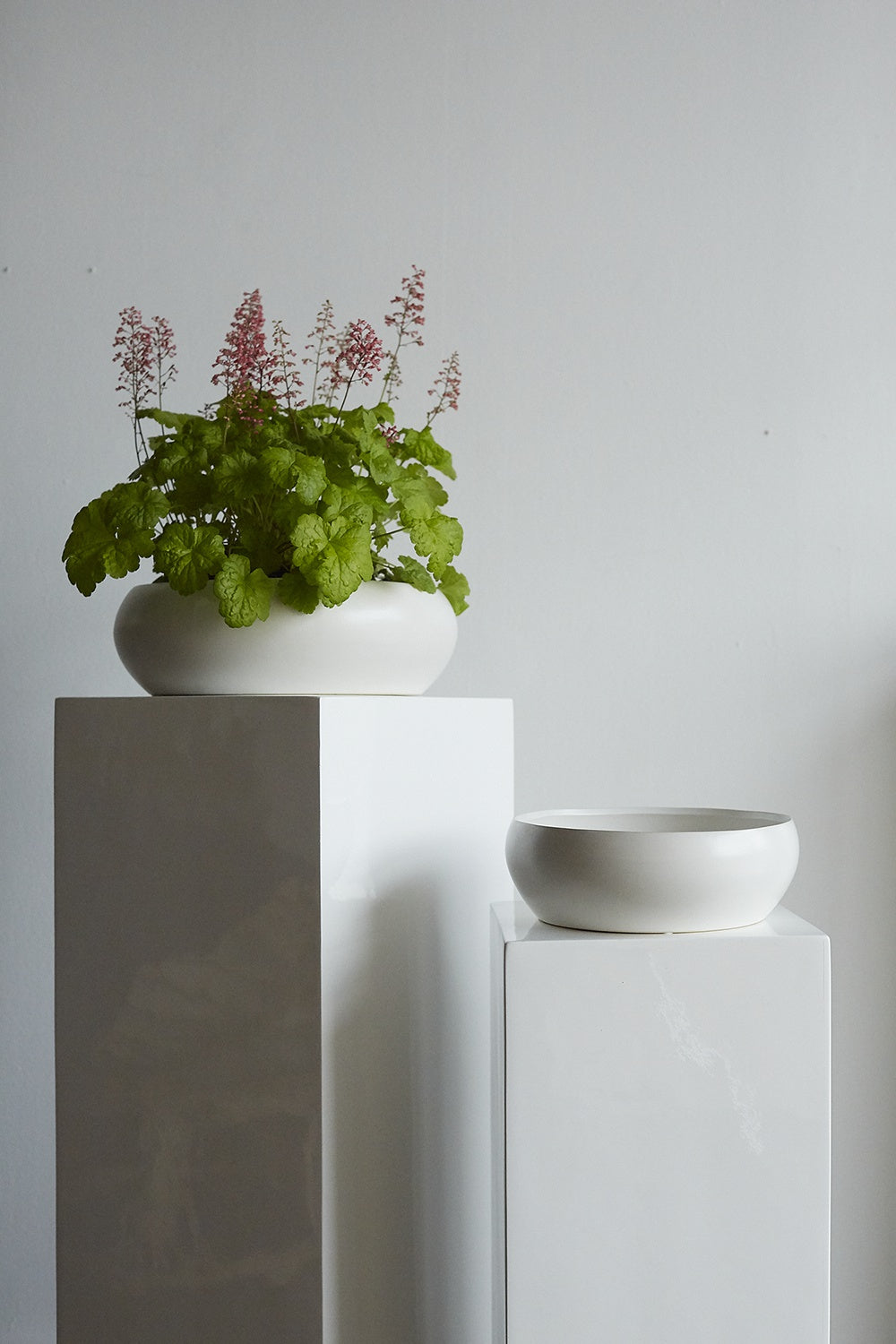 Simply Collection Set of 8 By Accent Decor | Vases | Modishstore - 3