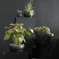 Simply Collection Set of 8 By Accent Decor | Vases | Modishstore - 4