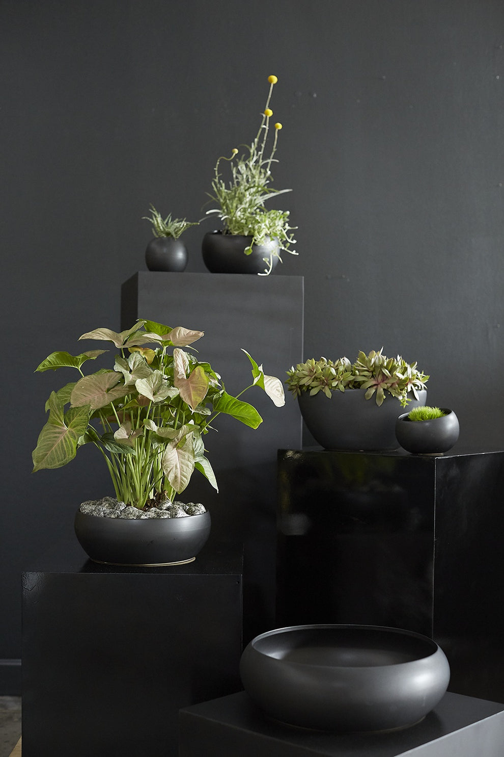 Simply Collection Set of 8 By Accent Decor | Vases | Modishstore - 4