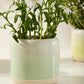 Skyway Pot Set of 8 By Accent DŽcor