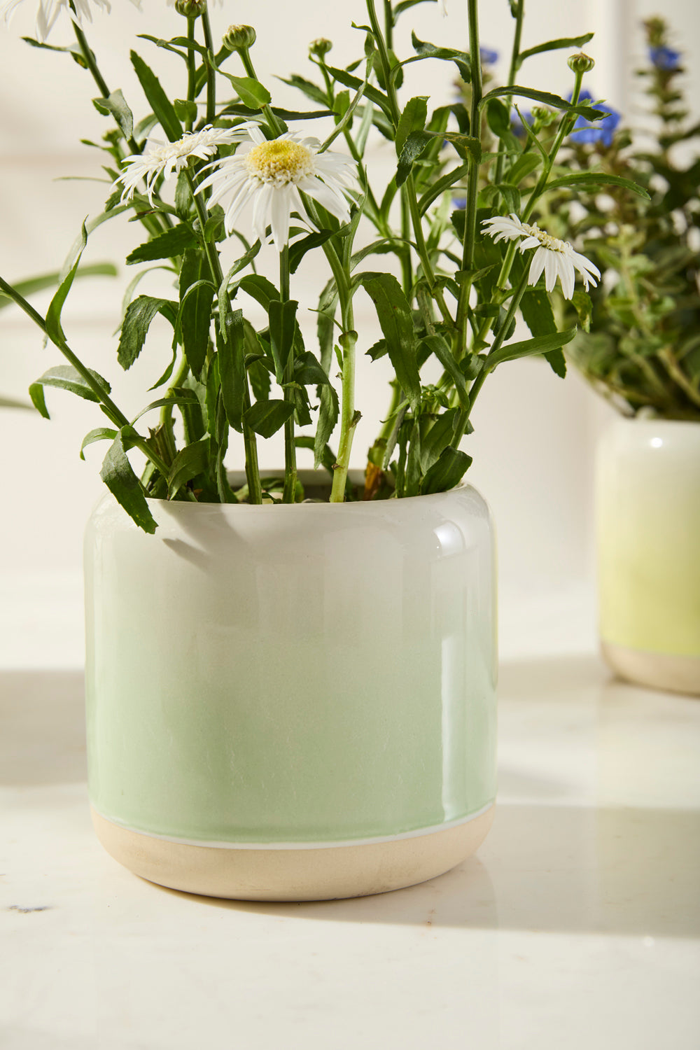Skyway Pot Set of 8 By Accent DŽcor