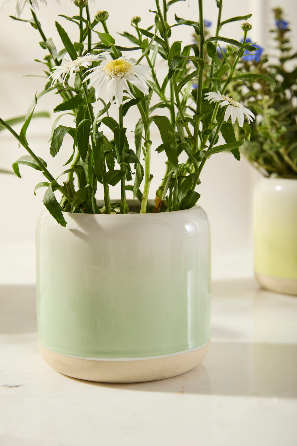 Skyway Pot Set of 8 By Accent Decor | Stands | Modishstore - 1