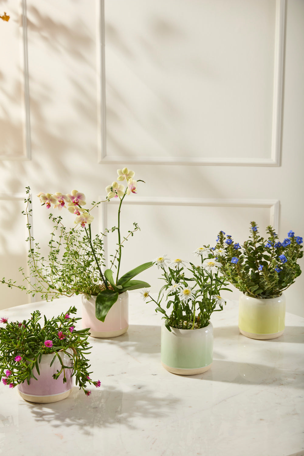 Skyway Pot Set of 8 By Accent DŽcor