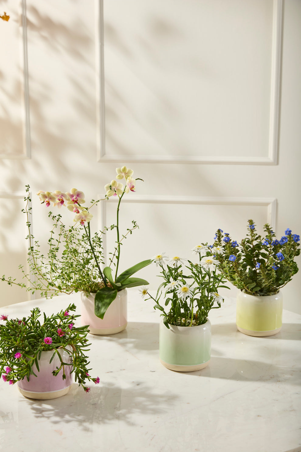 Skyway Pot Set of 8 By Accent Decor | Stands | Modishstore - 3