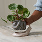 Snail Pot with Saucer Set of 2 By Accent Decor | Planters, Troughs & Cachepots | Modishstore - 1