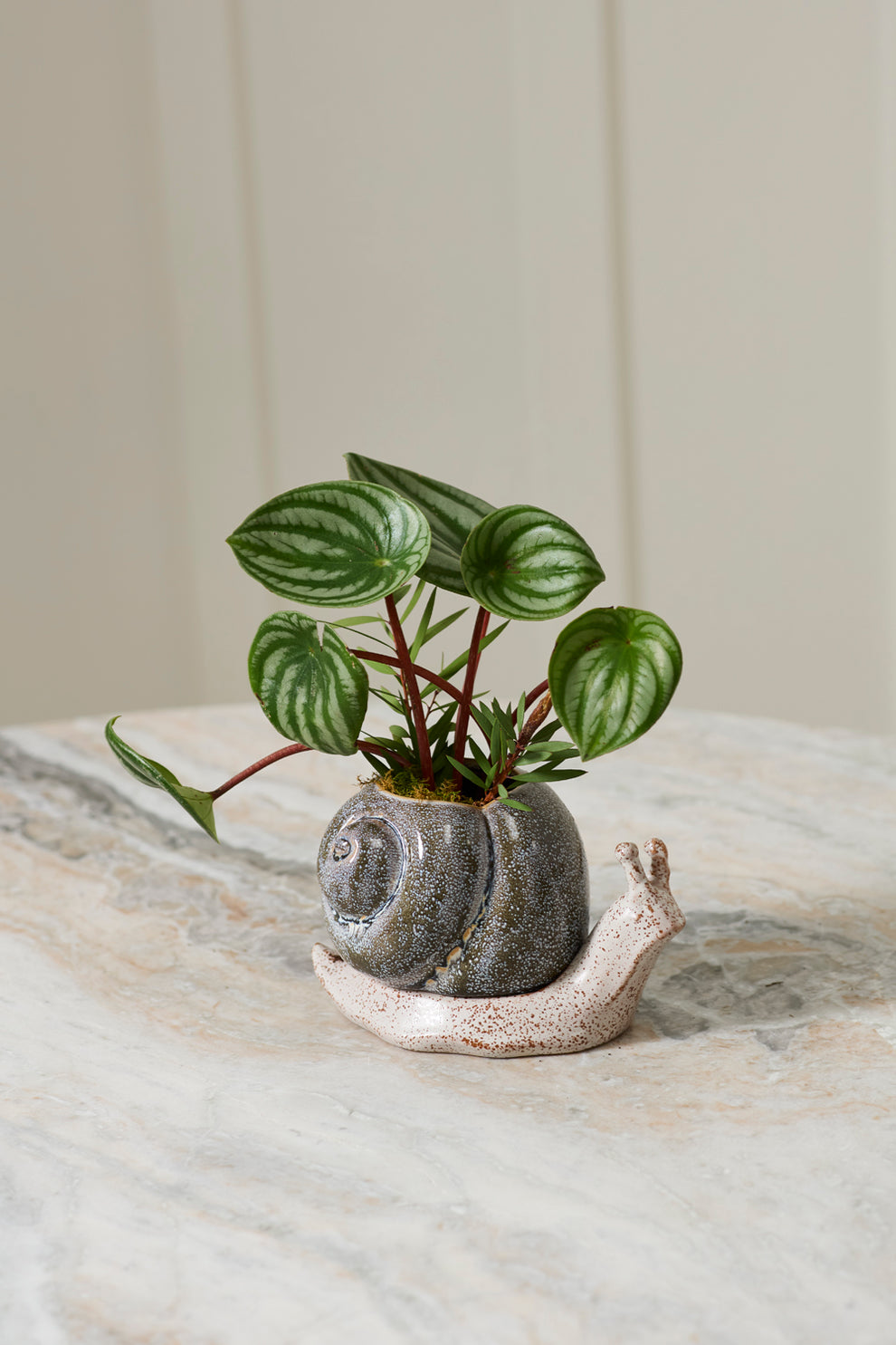 Snail Pot with Saucer Set of 2 By Accent Decor | Planters, Troughs & Cachepots | Modishstore - 3