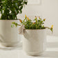 Sneaky Bunny Pot Set of 8 By Accent Decor | Stands | Modishstore - 1