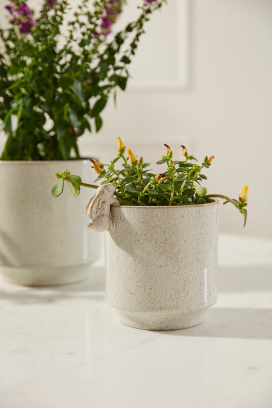 Sneaky Bunny Pot Set of 8 By Accent Decor | Stands | Modishstore - 1
