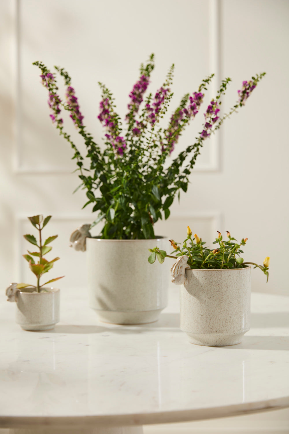Sneaky Bunny Pot Set of 8 By Accent Decor | Stands | Modishstore - 3