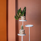 So Cal Collection Set of 4 By Accent Decor | Planters, Troughs & Cachepots | Modishstore - 1