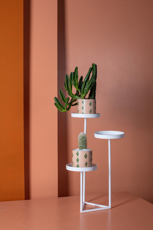 So Cal Collection Set of 4 By Accent Decor | Planters, Troughs & Cachepots | Modishstore - 1