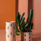 So Cal Collection Set of 4 By Accent Decor | Planters, Troughs & Cachepots | Modishstore - 3