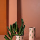 So Cal Collection Set of 4 By Accent Decor | Planters, Troughs & Cachepots | Modishstore - 4